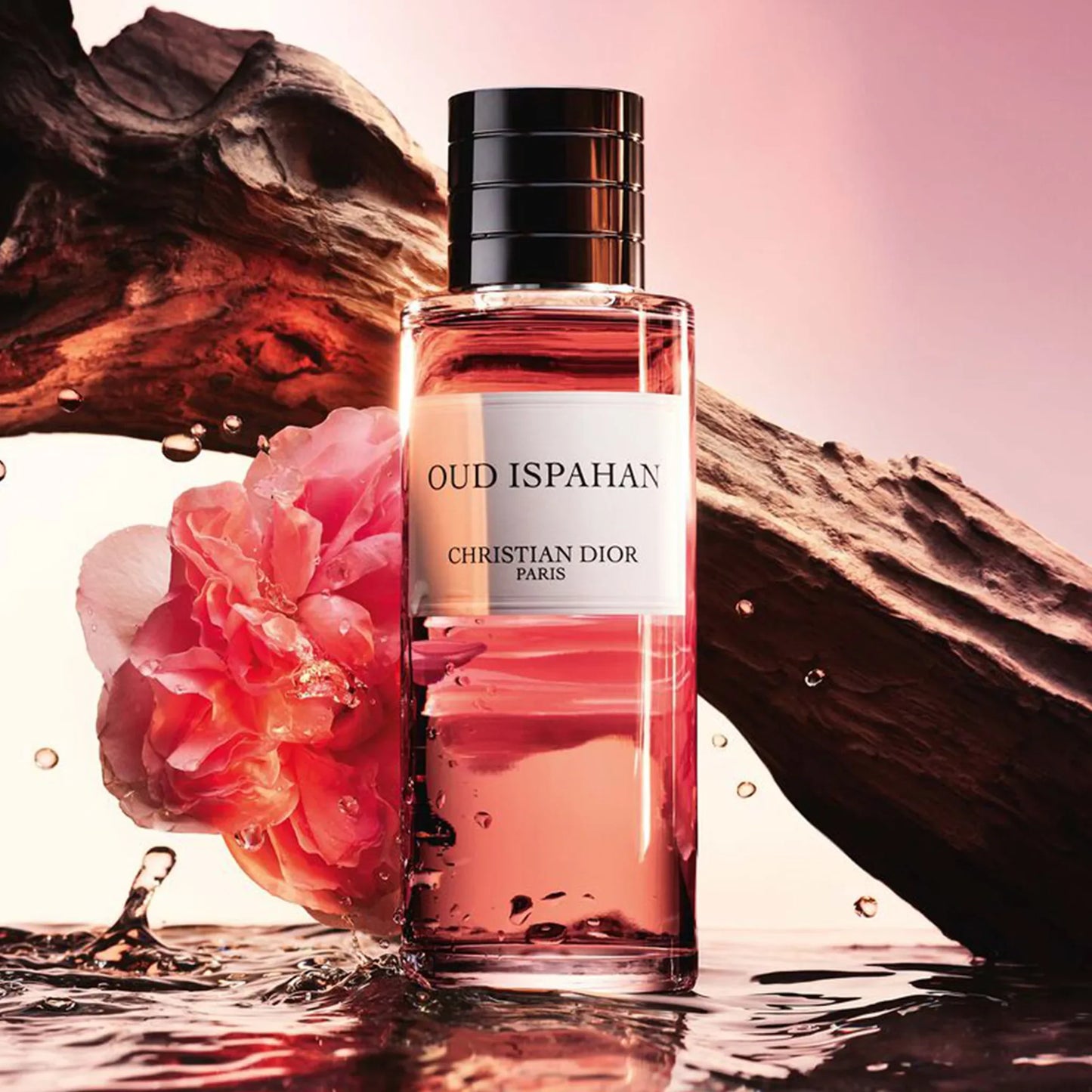 Dior Oud Ispahan Fragrance 125ml