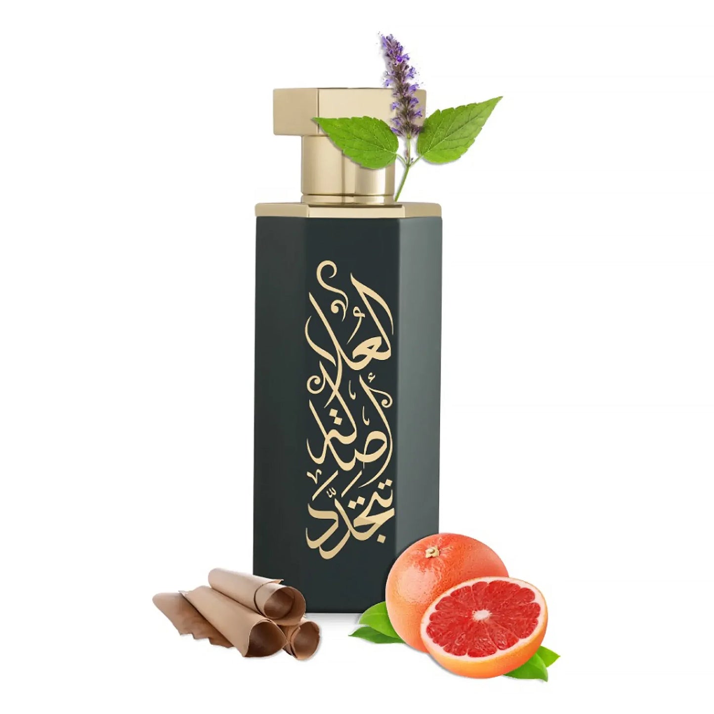 REEF Arabs of AlUla Eau De Parfum 100ml